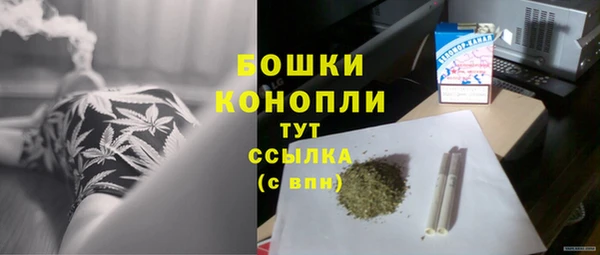гашик Чегем