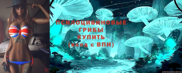 мдма Ельня