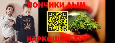 крисы Новодвинск