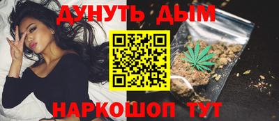 крисы Новодвинск