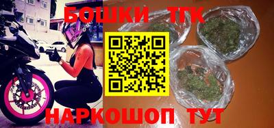 крисы Новодвинск