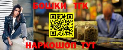 крисы Новодвинск