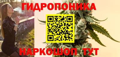крисы Новодвинск