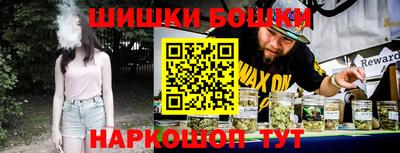 крисы Новодвинск